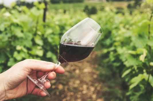 Régions mythiques des vieux millésimes : Bordeaux et Bourgogne