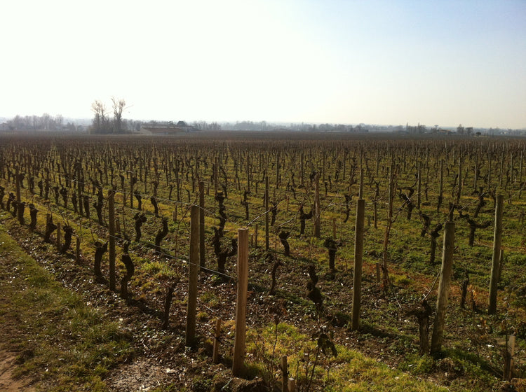 Pomerol