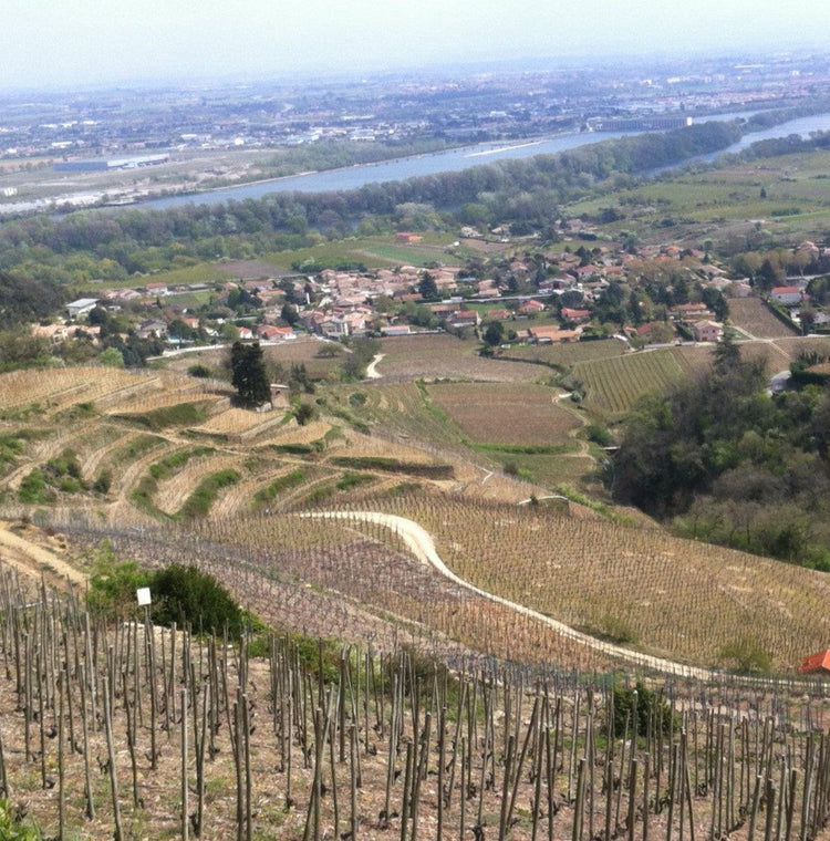 Vallée du Rhône