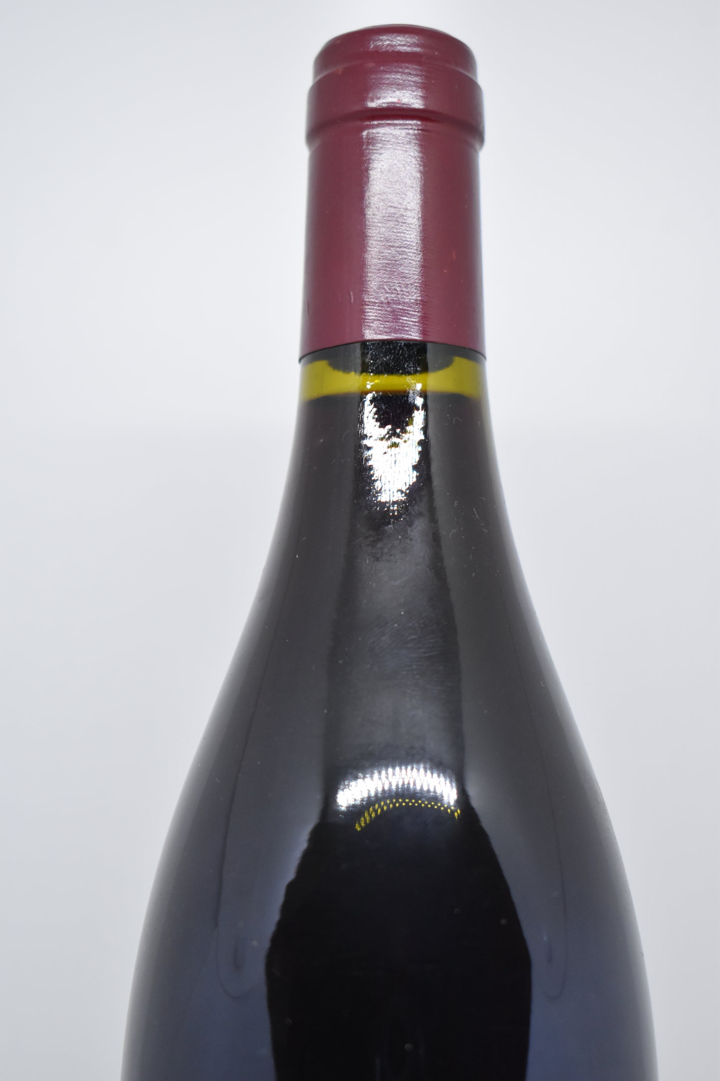 Crozes-Hermitage 1995 - Domaine Combier