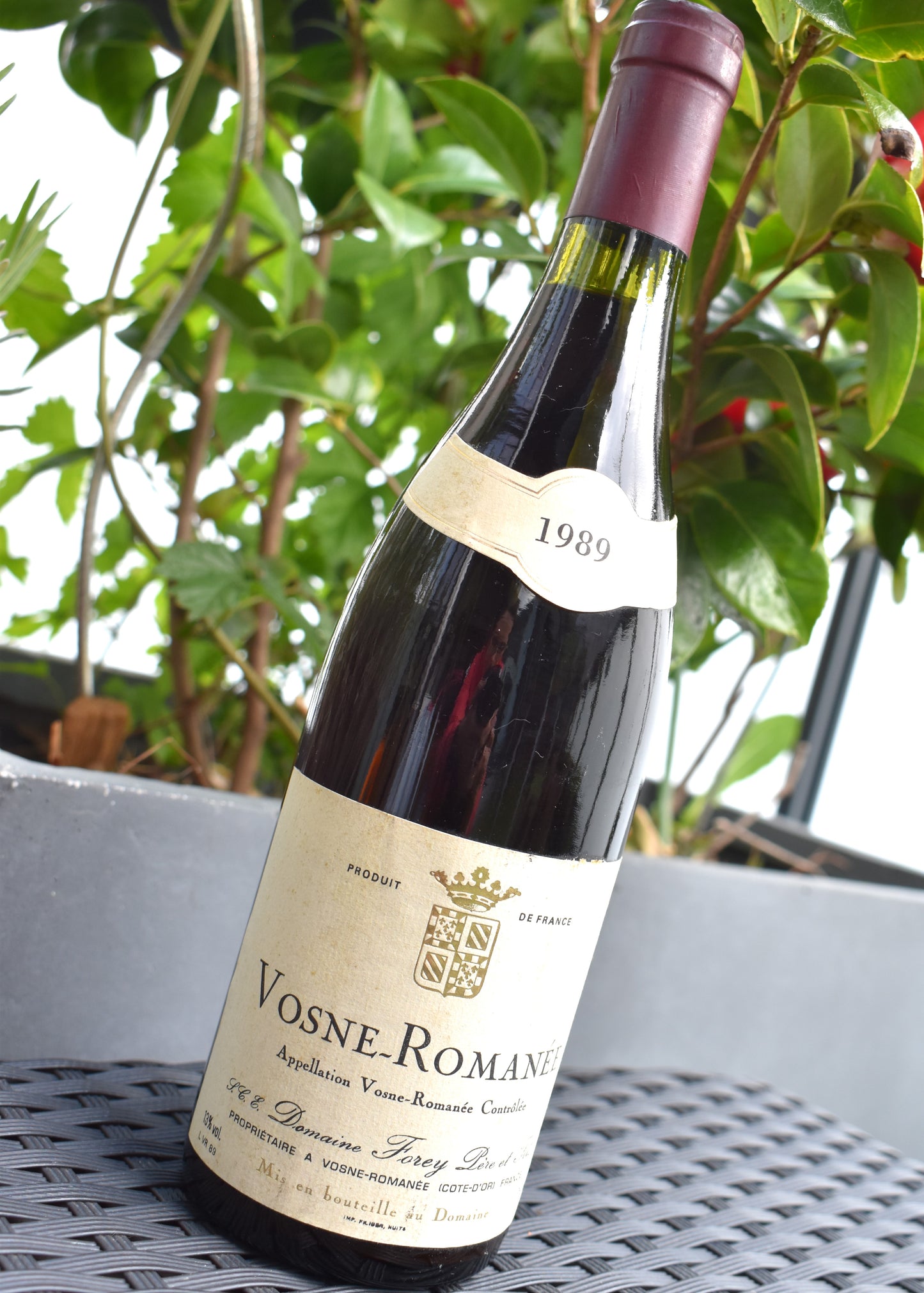 Bourgogne rouge 1989, Vosne-Romanée, option élégante pour célébrer 1989