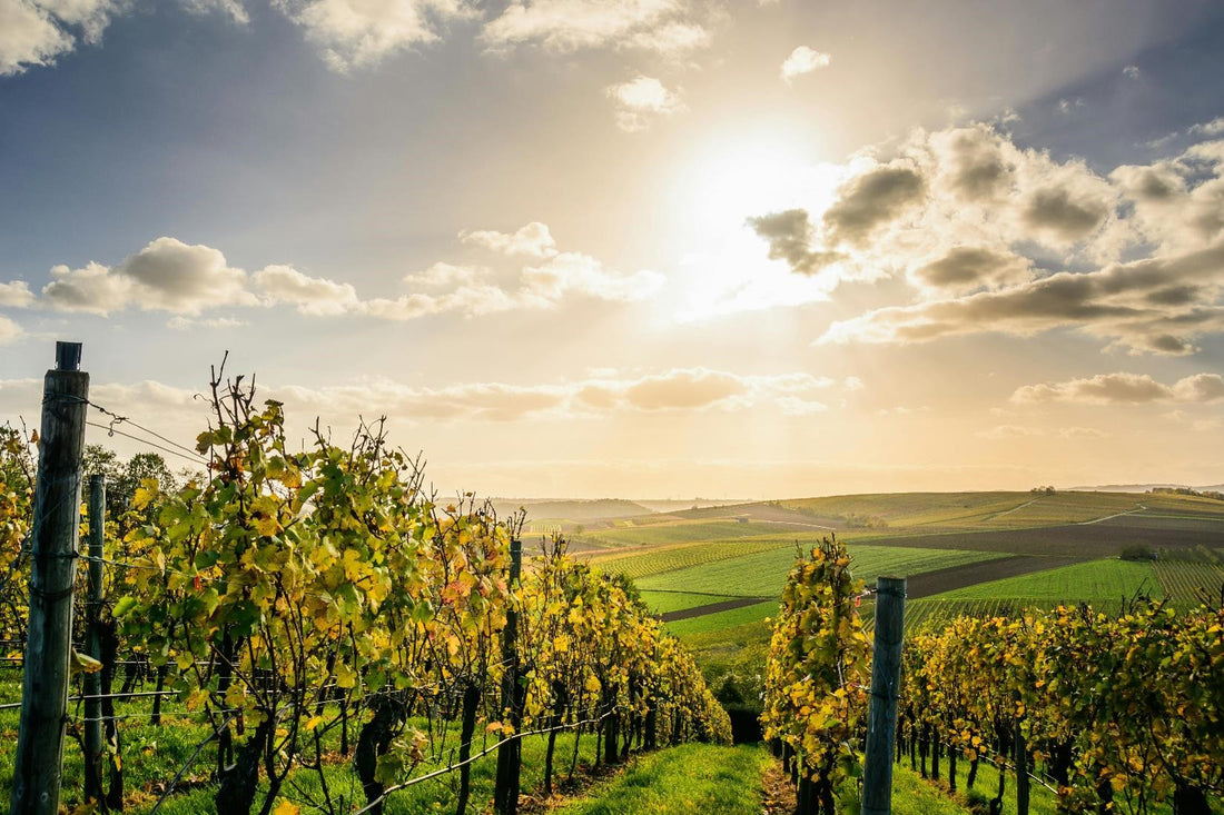 Bordeaux  les plus grands millésimes - The greatest vintages of Bordeaux