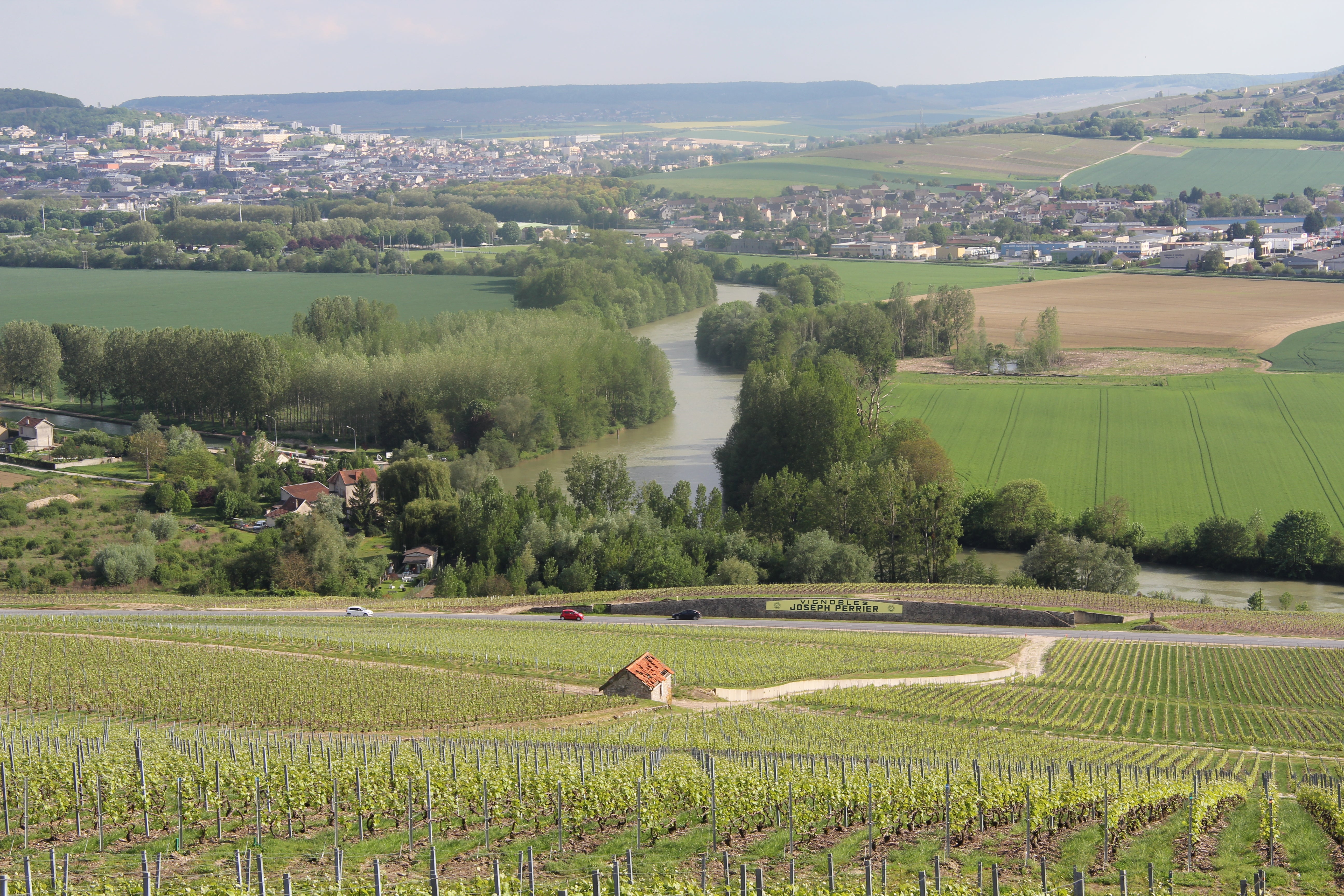 Champagnes: Brut, Rosé, Magnum and Old Vintages – Wine Upon A Time
