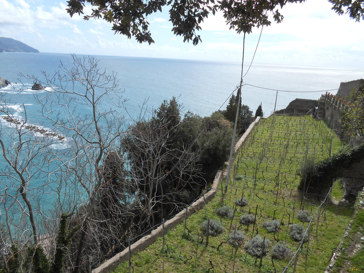 Italie