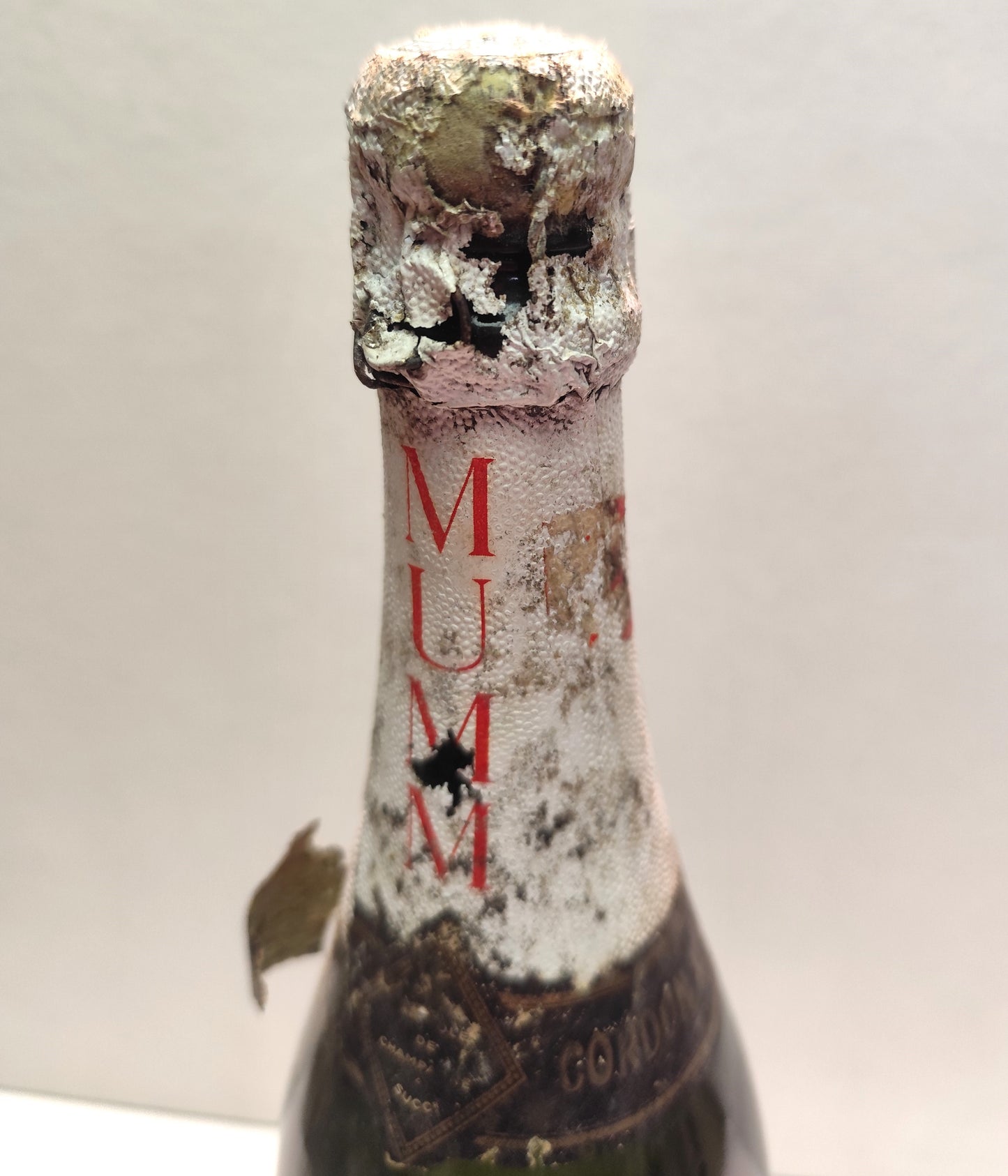 Mumm Brut Vintage 1976 - Champagne Cordon Rouge