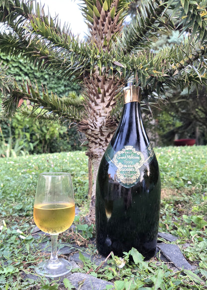 Grand Vintage 1999 Magnum - Champagne Gosset