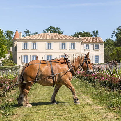 Troplong-Mondot 2010 - Saint-Emilion