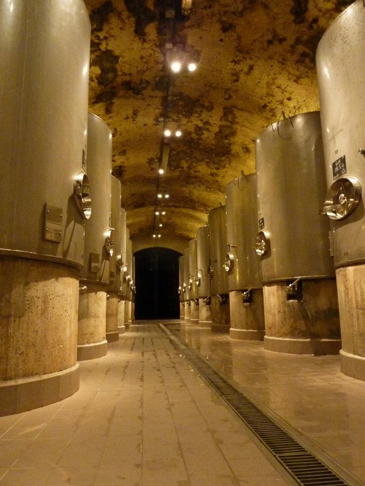 Visit of Krug Cellar